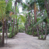 Отель Coco Paradise Beach Resort, фото 1