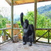 Отель Gorilla Hills Eco Lodge, фото 6