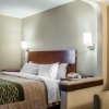 Отель Quality Inn & Suites near St. Louis and I-255, фото 7
