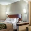 Отель Quality Inn & Suites near St. Louis and I-255, фото 6