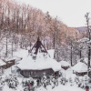 Отель Davir Spa Resort, фото 10