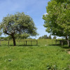 Отель Delightful Holiday Home With Meadow View, фото 12