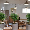 Отель Le Green Bistrot, фото 4