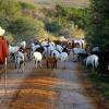 Отель Waterval farmstay, фото 14