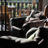 Отель Maunga roa eco lodge, фото 47