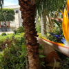 Отель Mariposa Bed And Breakfast, фото 14