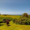 Отель Puamana 16B-great ocean view, walk to Anini Beach,quiet complex, фото 30