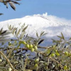Отель Gli Ulivi dell'Etna, фото 45