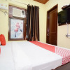 Отель OYO 38822 Hotel The Ferns, фото 6