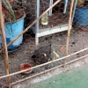Отель Room in Guest Room - Private Room on a Terrace With Garden, фото 12