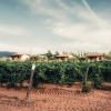 Отель Villas en Los Retoños, фото 34