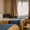Отель Comfort Inn & Suites Diamondale – Lansing, фото 42