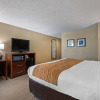 Отель Comfort Inn N Myrtle Beach Barefoot Landing, фото 5