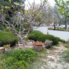 Отель Apartments Vanja Škara Biograd, фото 19