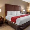 Отель Comfort Inn & Suites, фото 4