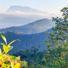 Отель Borneo Kiim Resort, фото 8