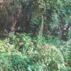 Отель Duende Treehouses & Cocktails, фото 16
