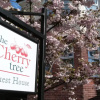 Отель The Cherry Tree Guest House, фото 12