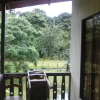 Отель Cabinas Tortuguero, фото 7