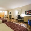 Отель Red Roof Inn & Suites Philadelphia - Bellmawr, фото 22