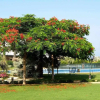 Отель VenAVera C10A - Ground floor Garden 3Bedrooms/2Baths Beachfront, WIFI, фото 26