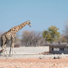 Отель Andersson's Camp, фото 15