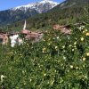 Отель Agritur Monte Pin, фото 11