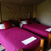 Отель Siana Springs Tented Camp, фото 1