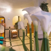 Отель Parc Hotel Florian, фото 13