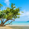 Отель Scn Resort And Spa At Rayong Pattaya Airport, фото 24
