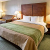 Отель Comfort Inn, фото 22