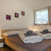 Отель Apartment Chalet La Muntaniala, фото 3