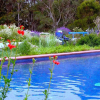 Отель Lemonade Creek Cottages, фото 9