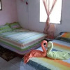 Отель Hostal Cariguana, фото 1