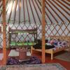 Отель Kids Love Yurts, фото 13