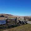 Отель Tussock Lodge Waipiata, фото 31