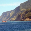 Отель Lovely Sea View 3-bed House in p Delgada, Madeira, фото 18