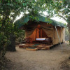 Отель Yala Bear Safari Camp Tents, фото 10