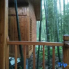 Отель Heyuan Holiday Guesthouse, фото 7