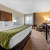 Отель Quality Inn & Suites, фото 3