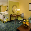 Отель SpringHill Suites Jacksonville Airport, фото 33