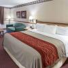 Отель Quality Inn & Suites, фото 7
