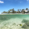 Отель Turtle Eco Beach Resort, фото 6