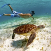 Отель TradeWinds Exumas, Great Exuma, Bahamas, фото 8