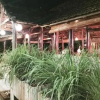 Отель A Vietnam Corner Restaurant & Hostel, фото 1