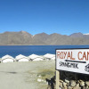 Отель Royal Camp - Pangong, фото 12