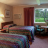 Отель Stowe Motel & Snowdrift, фото 6