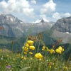 Отель B Rgchutzli 1 Stock Adelboden, фото 13