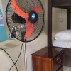 Отель Roseau Hostel And Beach Front Property, фото 5