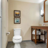 Отель Comfort Inn & Suites, фото 4